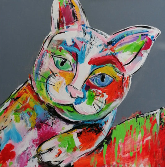 Colorful cat